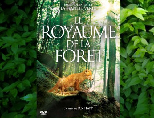 Au Royaume de la Forêt. Jan Haft.